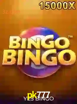 bingobingo